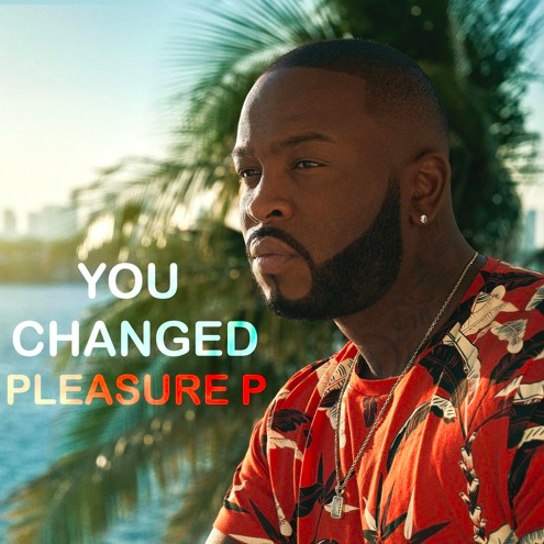 Pleasure P – You Changed