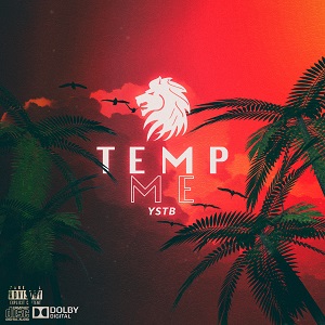 YSTB – Temp Me