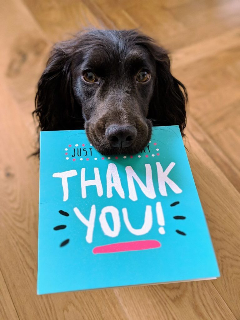 Post: 7 Brilliant Ways To Thank Your Customers